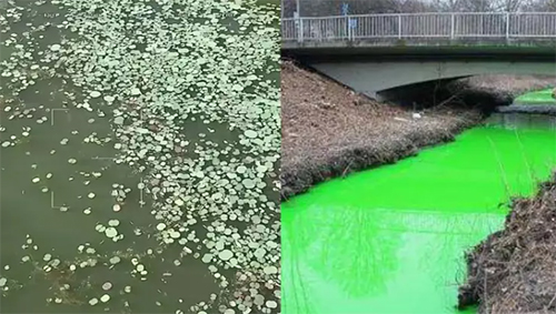 水質監測